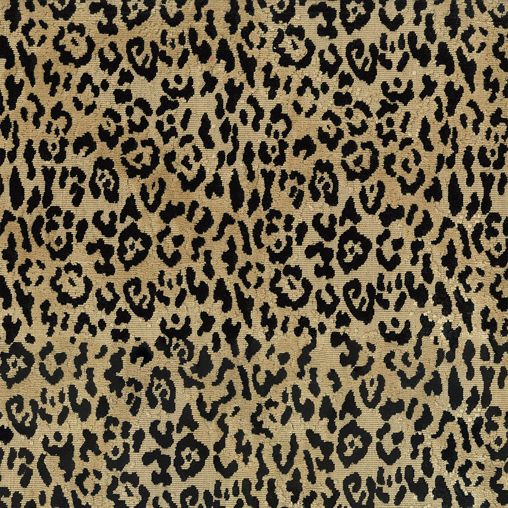 Lipped Coin Fabric