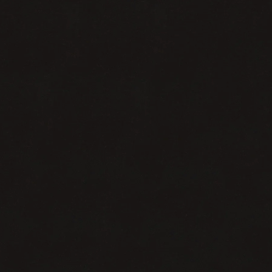 Luscious Black Fabric