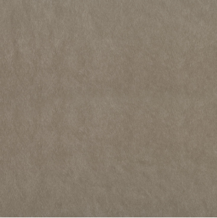 Catalyst Taupe Fabric