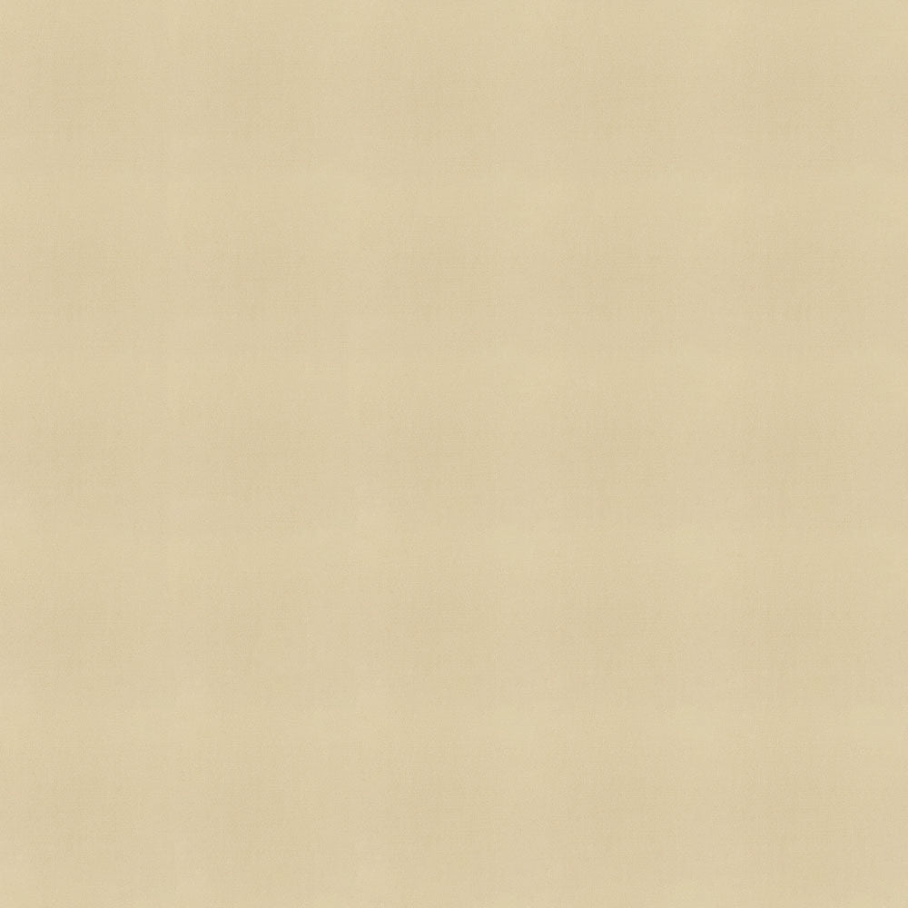 Sunbrella Canvas Antique Beige Fabric