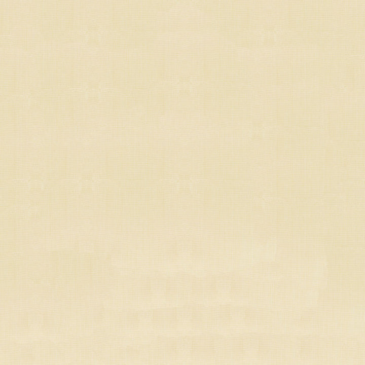 Sunbrella Canvas Vellum Fabric