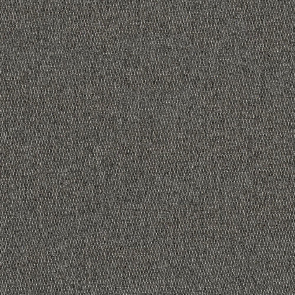 Remy Graphite Fabric