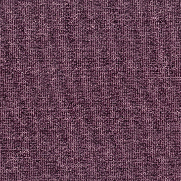 Stardust Plum Fabric