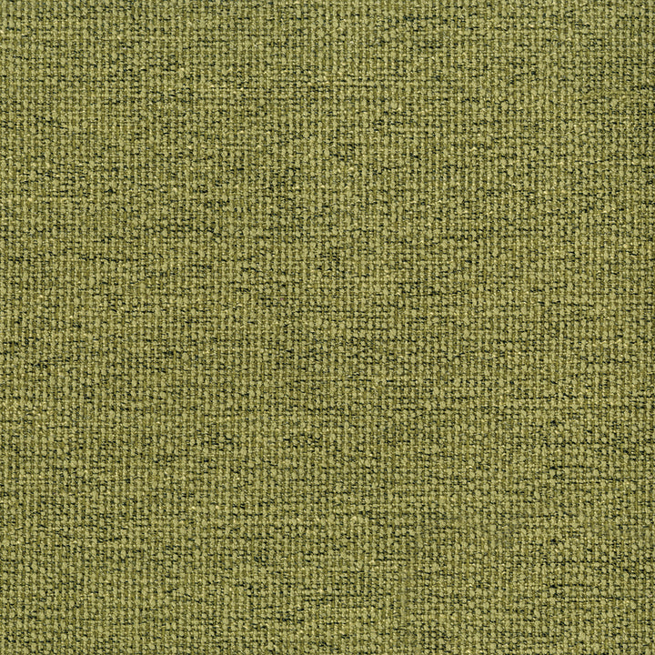 Stardust Pistachio Fabric