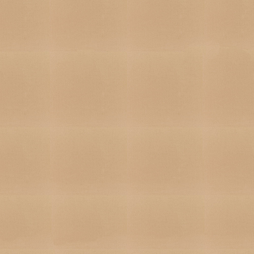 Sunbrella Canvas Camel Fabric