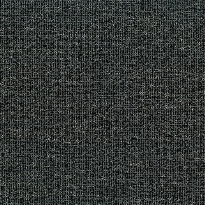 Stardust Charcoal Fabric
