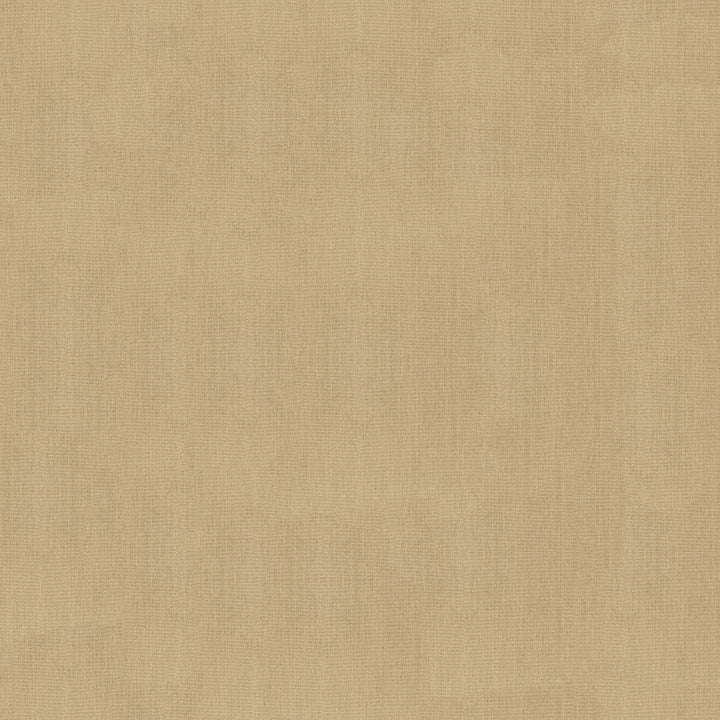 Sunbrella Canvas Heather Beige Fabric