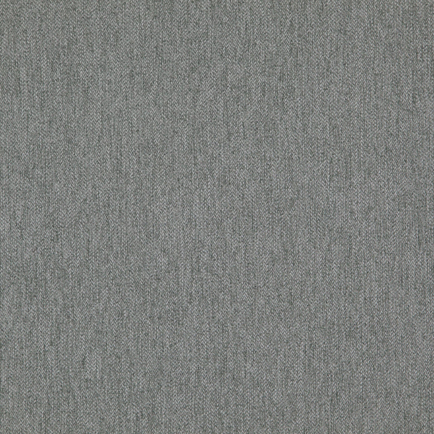 Timepiece Griffin Fabric