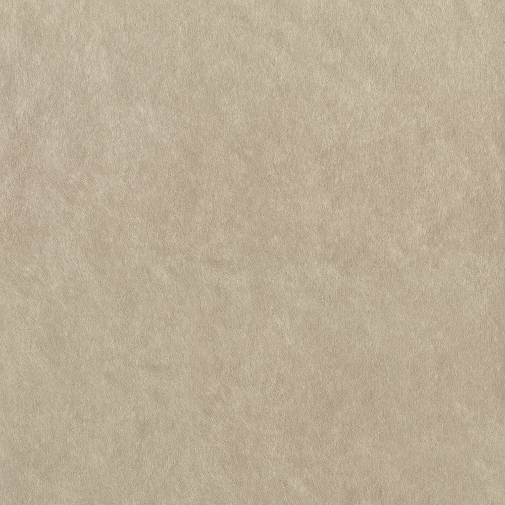 Ride Stucco Fabric