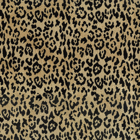 Lipped Coin Fabric