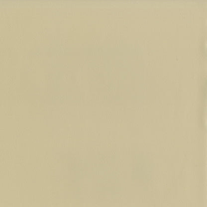 Sentry Cream Fabric
