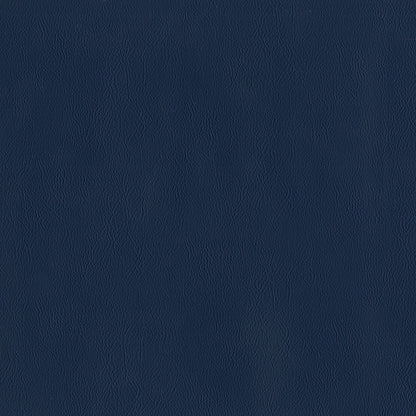 Sentry Naval Blue Fabric