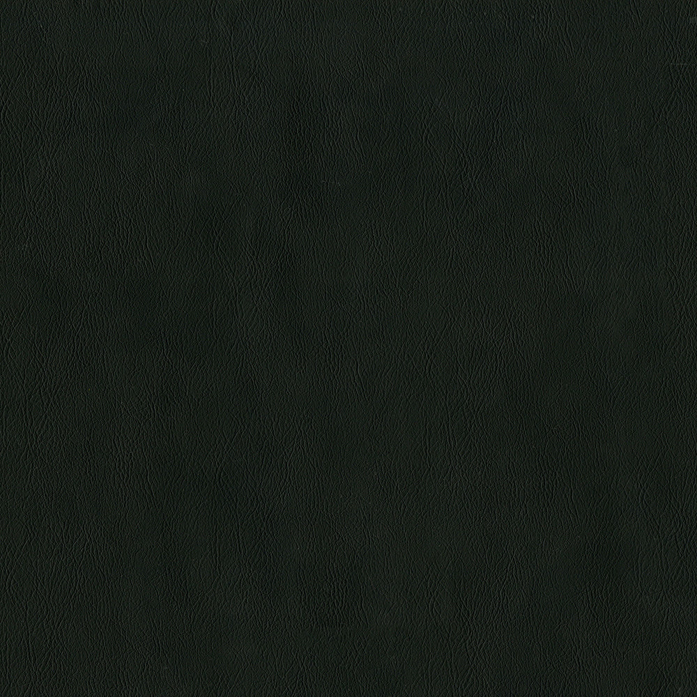 Sentry Raven Fabric