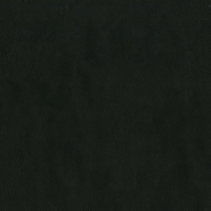 Sentry Raven Fabric