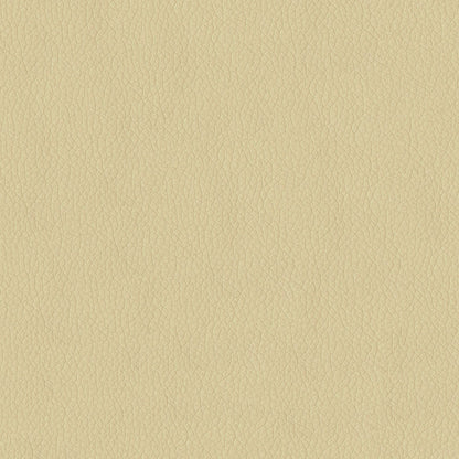 Kendrick Parchment Fabric