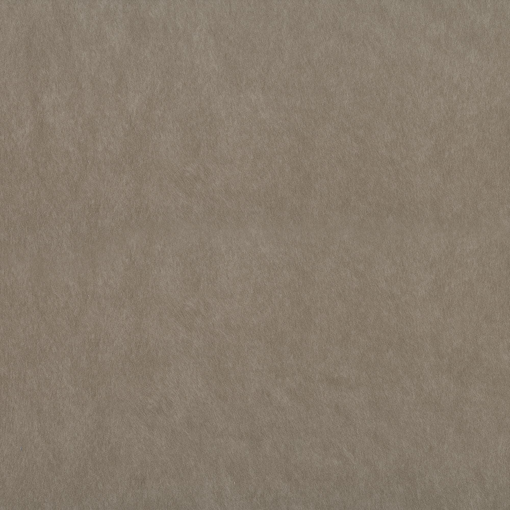 Ride Taupe Fabric