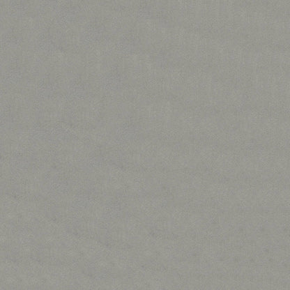 Benjamin Platinum Fabric