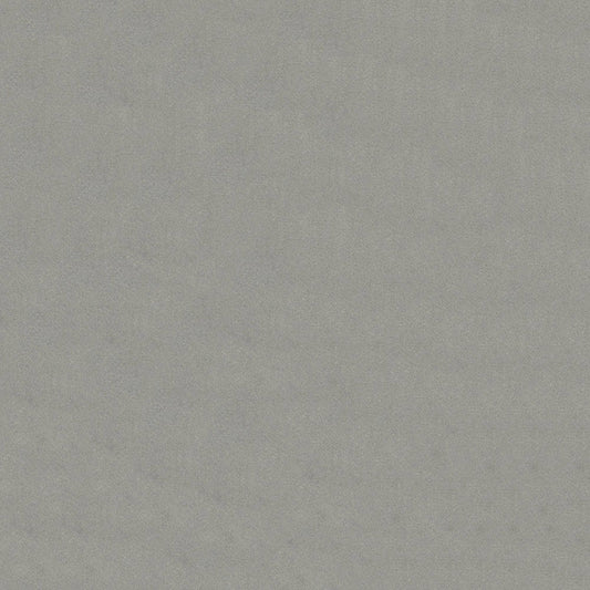Benjamin Platinum Fabric