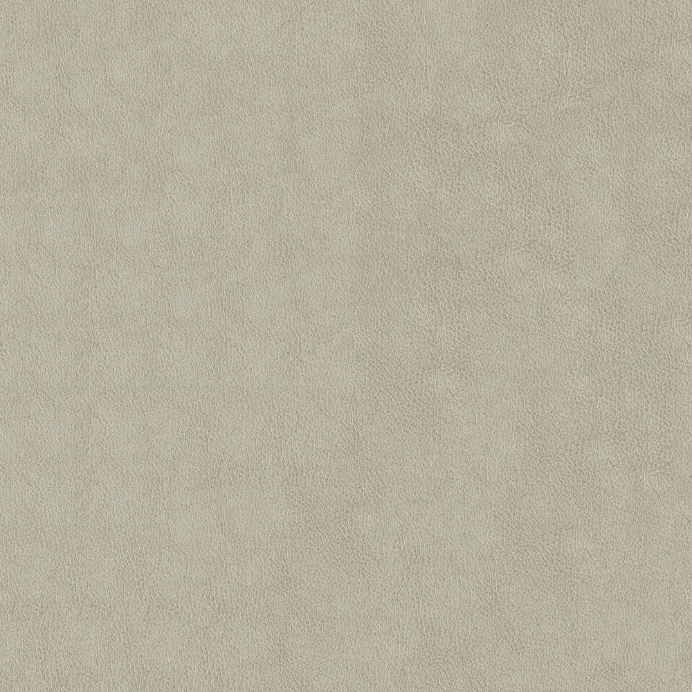 Baldwin Alabaster Fabric