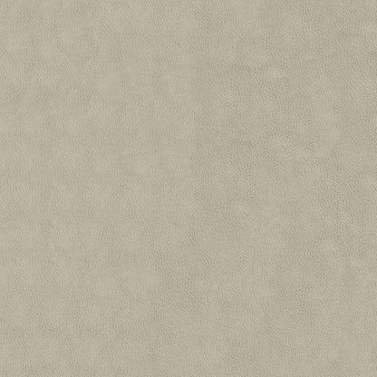 Baldwin Alabaster Fabric