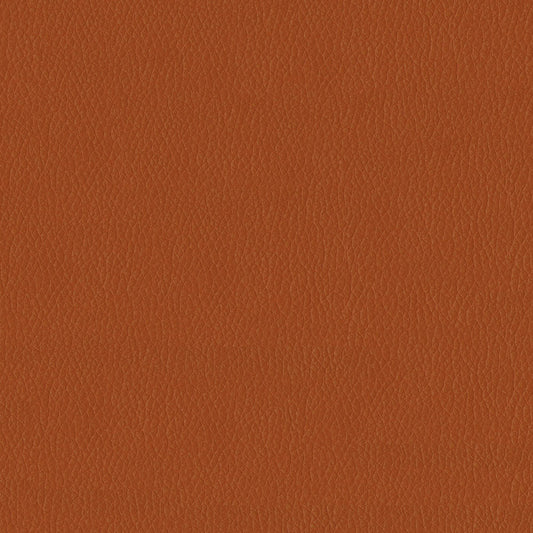 Kendrick Pumpkin Spice Fabric