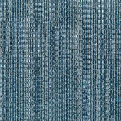 Paul Denim Fabric