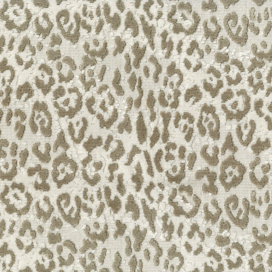 Lipped Latte Fabric