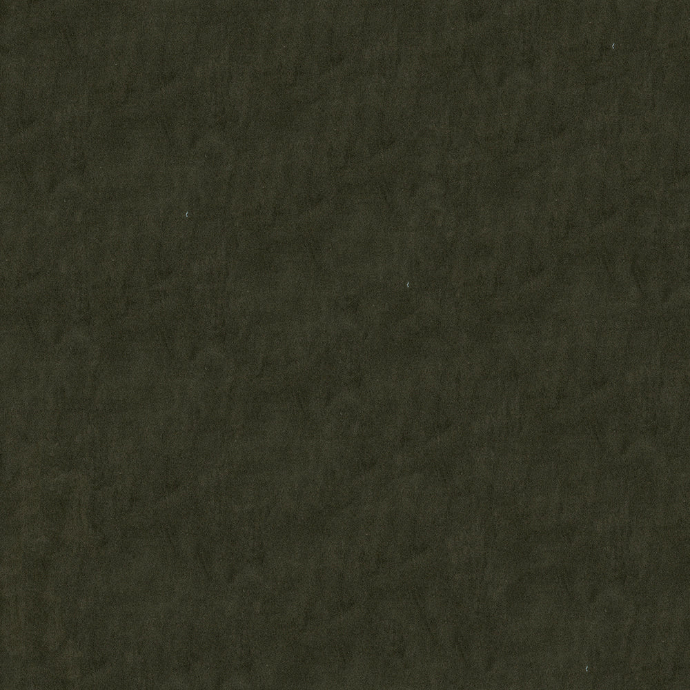 Benjamin Mink Fabric
