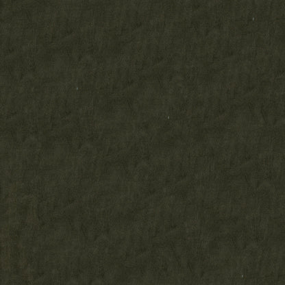 Benjamin Mink Fabric