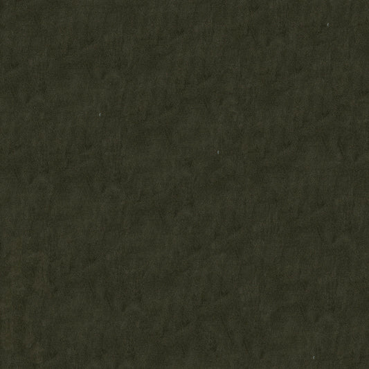 Benjamin Mink Fabric