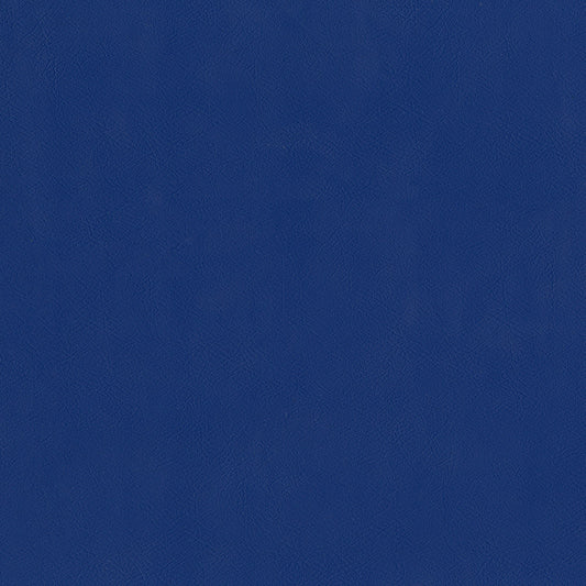 Sentry Royal Fabric
