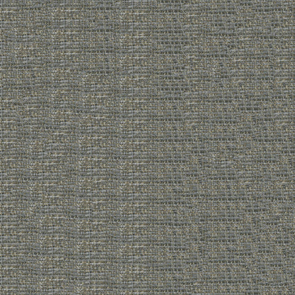 Thomas Battleship Grey Fabric