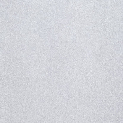 Earl Silver Fabric