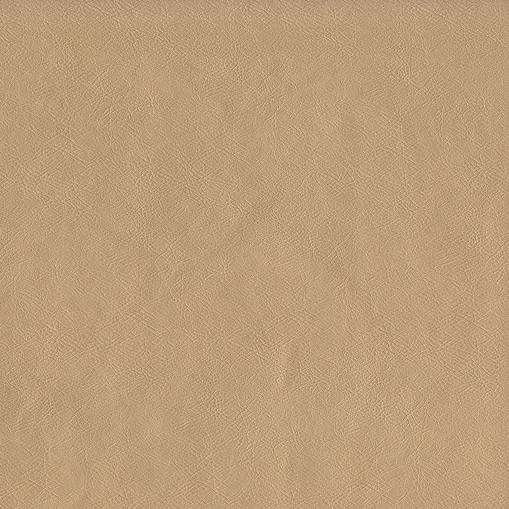 Sentry Champagne Fabric