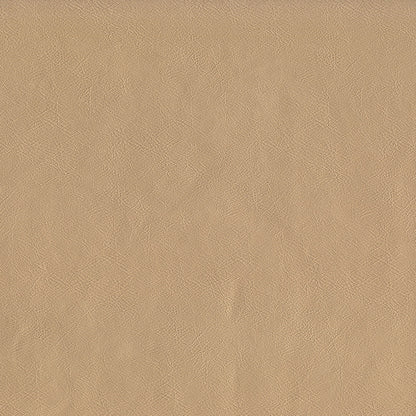 Sentry Champagne Fabric