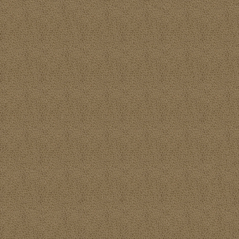 Baldwin Tan Fabric