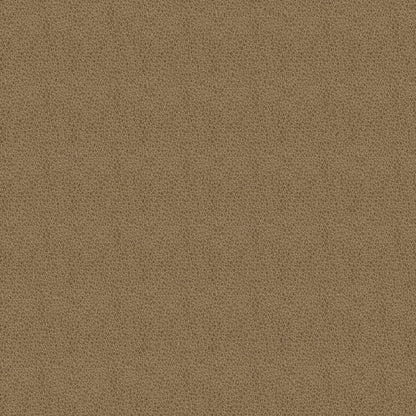 Baldwin Tan Fabric