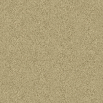 Baldwin Beige Fabric