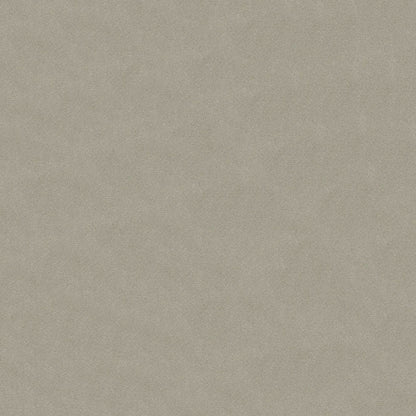 Benjamin Cinder Fabric