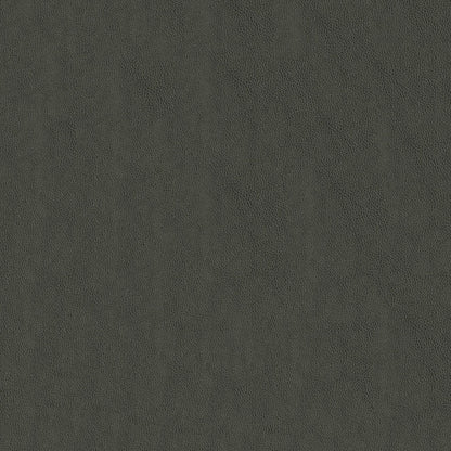 Baldwin Gunmetal Fabric