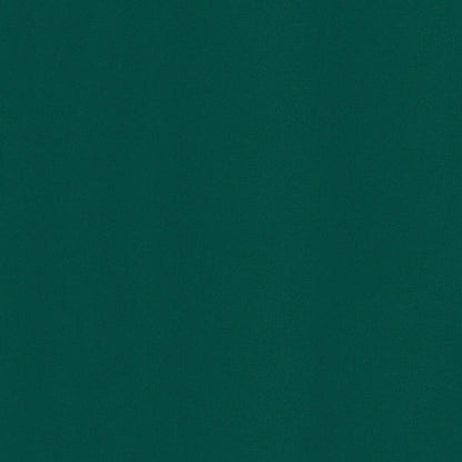 Sunbrella 60 Custom Standard Erin Green Fabric