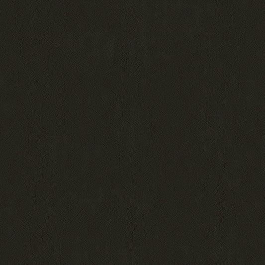 Sentry Chocolate Fabric