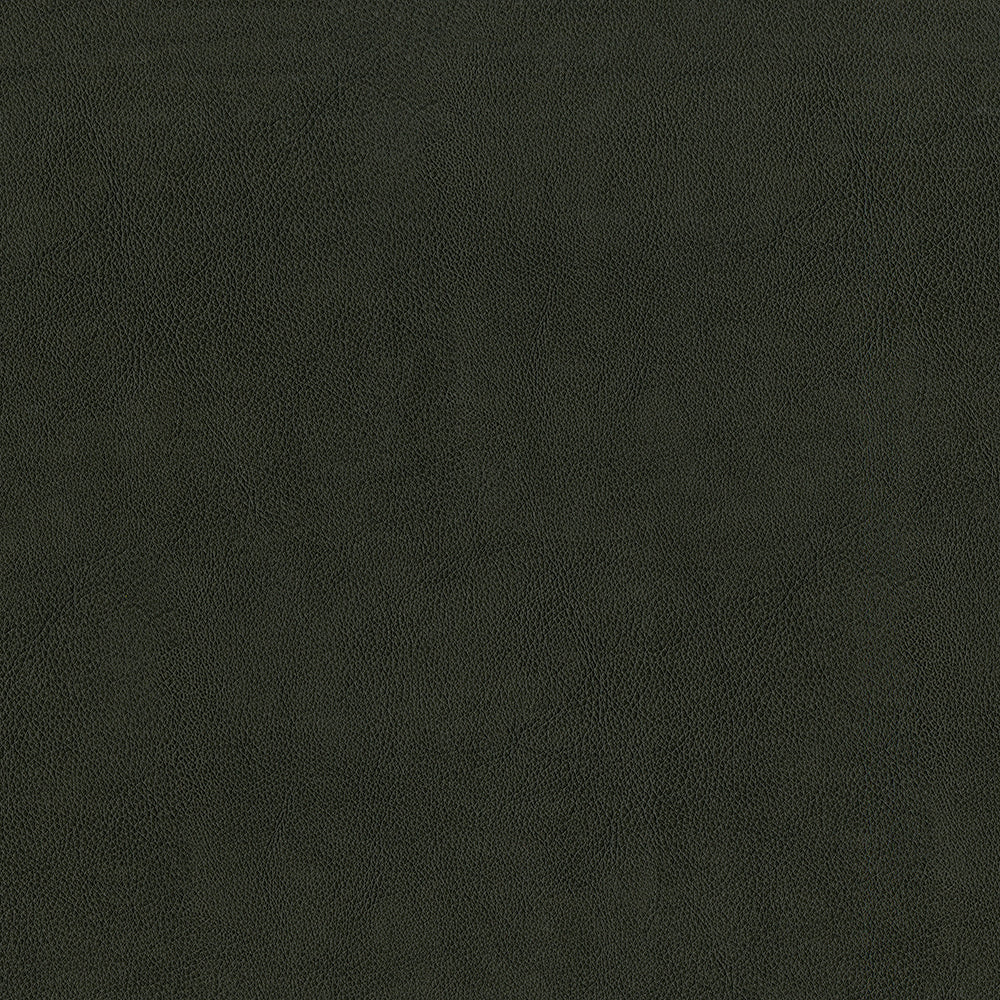Sentry Charcoal Fabric
