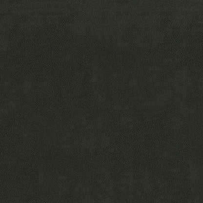 Sentry Charcoal Fabric