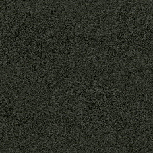 Sentry Charcoal Fabric
