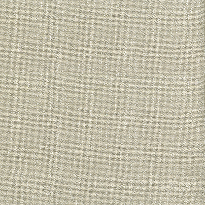 Teddy Beach Fabric