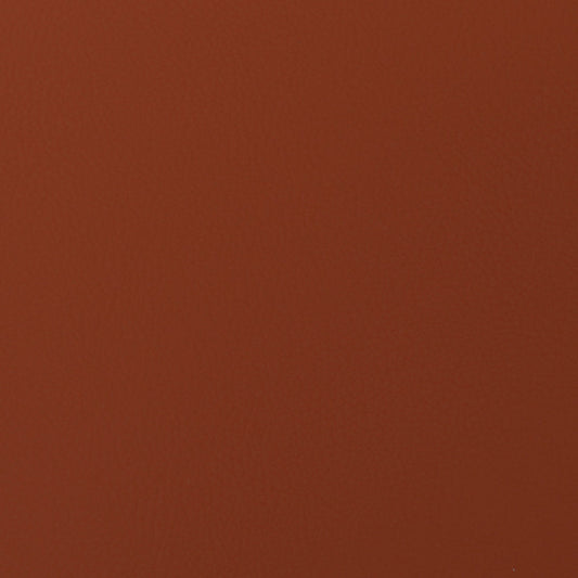 Hewitt Persimmon Fabric