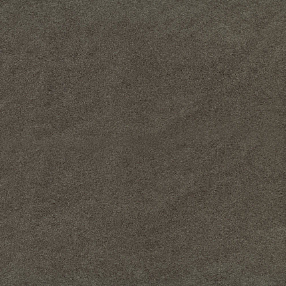 Ride Peat Fabric