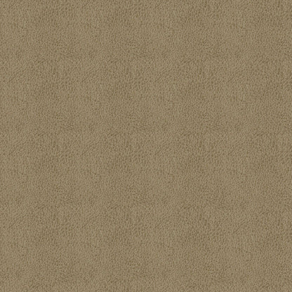 Baldwin Taupe Fabric