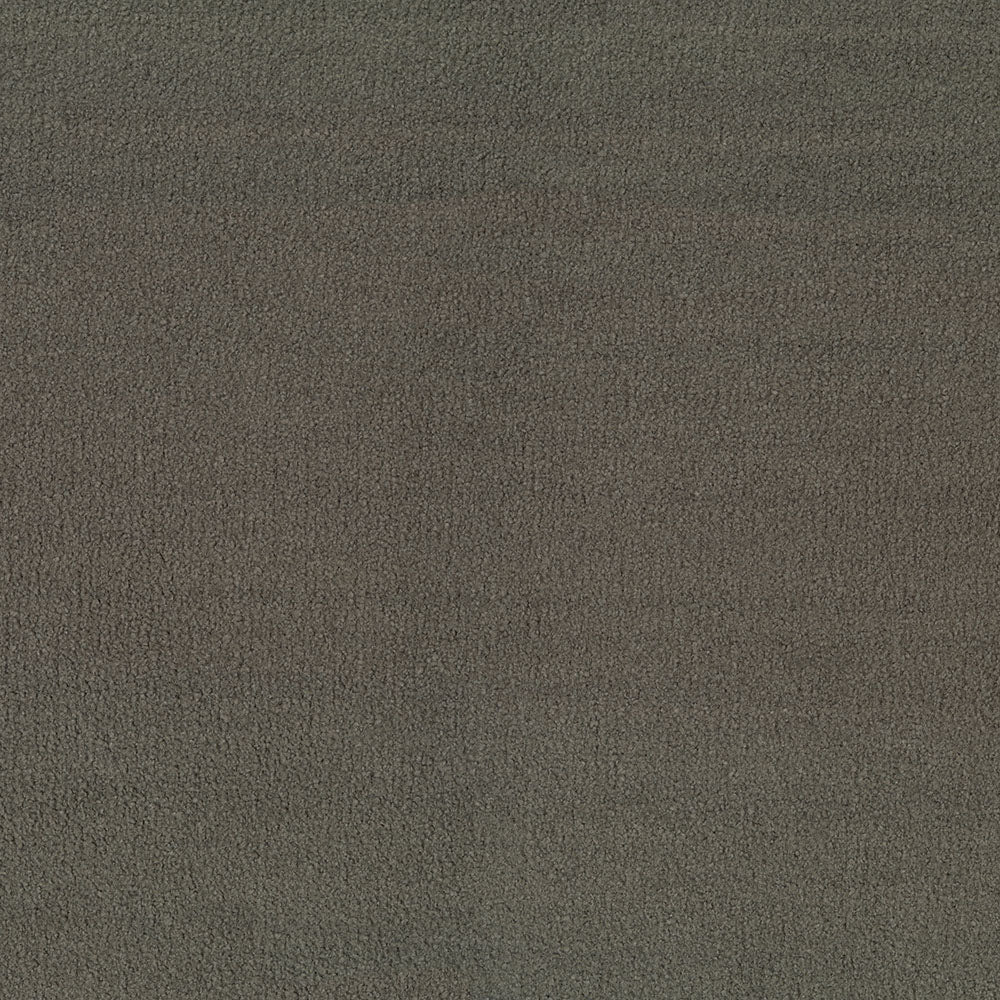 Claudia Trench Fabric